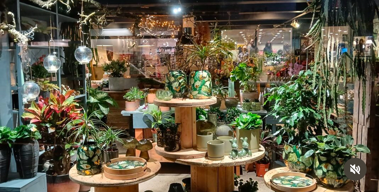 Anne-Fleur.bloemplein